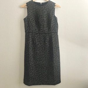 Ann Taylor animal print sheath dress. Worn once.